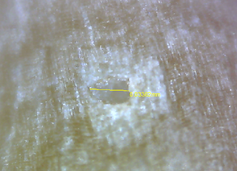 Laser microchannel in seed tegument