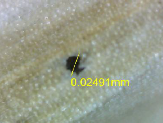 Circular laser microchannel through the tegument